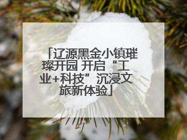 辽源黑金小镇璀璨开园 开启“工业+科技”沉浸文旅新体验