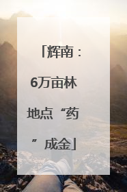 辉南：6万亩林地点“药”成金
