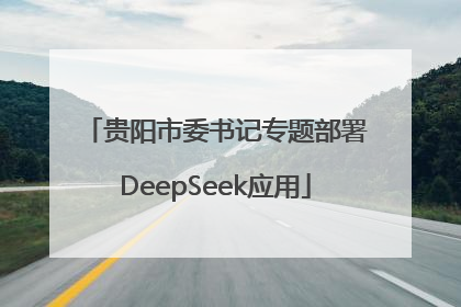 贵阳市委书记专题部署DeepSeek应用