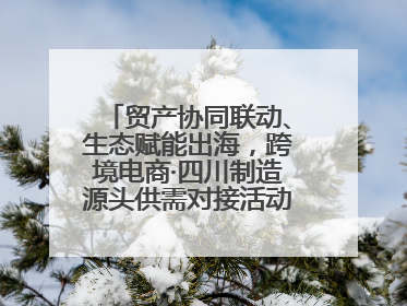 贸产协同联动、生态赋能出海，跨境电商·四川制造源头供需对接活动在成都举办