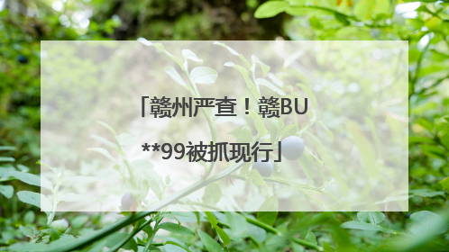 赣州严查！赣BU**99被抓现行