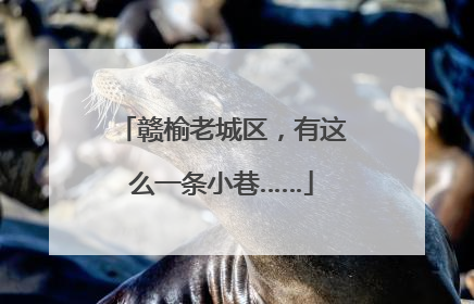 赣榆老城区，有这么一条小巷……