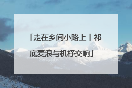 走在乡间小路上丨祁底麦浪与机杼交响