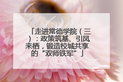 走进常德学院(三):政策筑基、引凤来栖,锻造校城共享的“双师铁军”