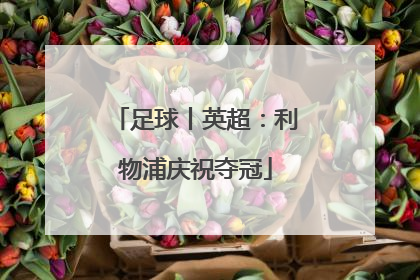 足球丨英超：利物浦庆祝夺冠