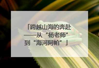 跨越山海的奔赴——从“杨老师”到“海河阿帕”