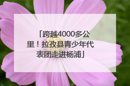 跨越4000多公里！拉孜县青少年代表团走进杨浦