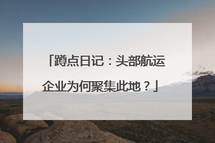 蹲点日记：头部航运企业为何聚集此地？