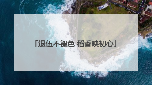 退伍不褪色 稻香映初心