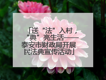 送“法”入村，“典”亮生活——泰安市财政局开展民法典宣传活动