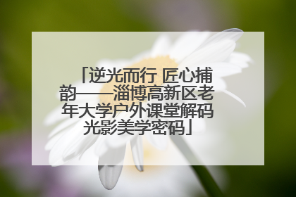 逆光而行 匠心捕韵——淄博高新区老年大学户外课堂解码光影美学密码