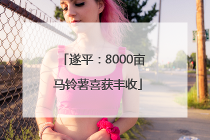 遂平：8000亩马铃薯喜获丰收