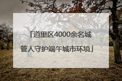 道里区4000余名城管人守护端午城市环境