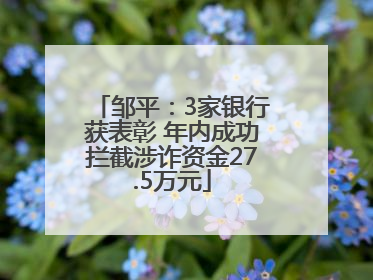 邹平：3家银行获表彰 年内成功拦截涉诈资金27.5万元