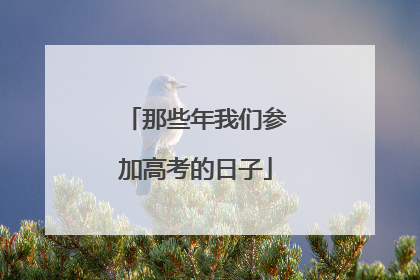 那些年我们参加高考的日子