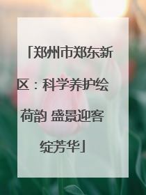 郑州市郑东新区：科学养护绘荷韵 盛景迎客绽芳华