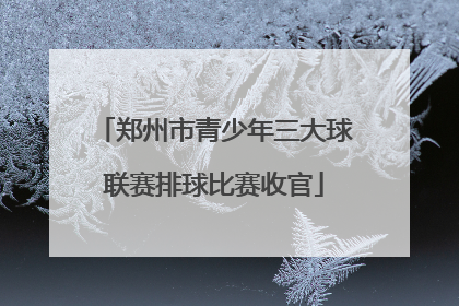 郑州市青少年三大球联赛排球比赛收官