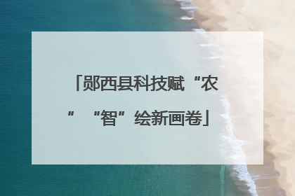 郧西县科技赋“农”“智”绘新画卷