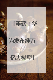 重磅！华为发布准万亿大模型