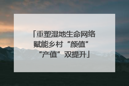 重塑湿地生命网络 赋能乡村“颜值”“产值”双提升