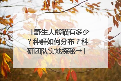 野生大熊猫有多少？种群如何分布？科研团队实地探秘→