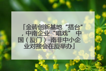 金砖创新基地“搭台”，中南企业“唱戏” 中国（厦门）-南非中小企业对接会在厦举办