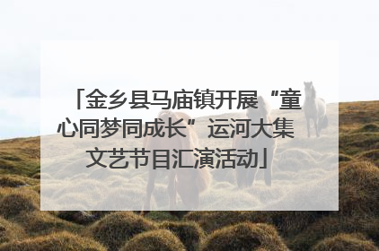 金乡县马庙镇开展“童心同梦同成长”运河大集文艺节目汇演活动