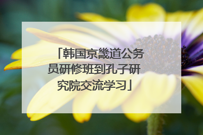 韩国京畿道公务员研修班到孔子研究院交流学习
