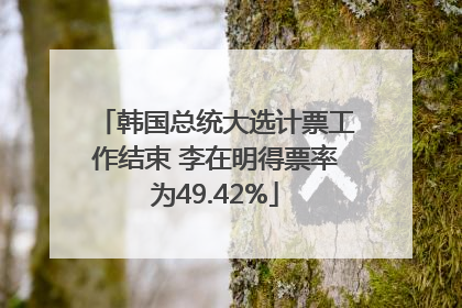 韩国总统大选计票工作结束 李在明得票率为49.42%