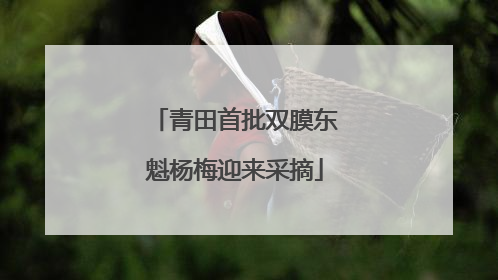 青田首批双膜东魁杨梅迎来采摘
