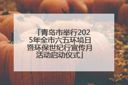 青岛市举行2025年全市六五环境日暨环保世纪行宣传月活动启动仪式