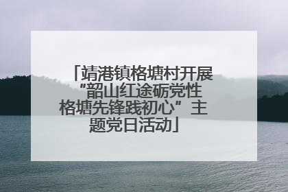 靖港镇格塘村开展“韶山红途砺党性 格塘先锋践初心”主题党日活动