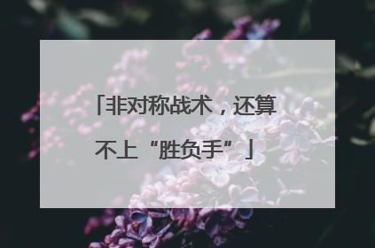 非对称战术，还算不上“胜负手”