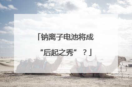 钠离子电池将成“后起之秀”？