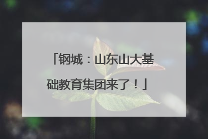 钢城：山东山大基础教育集团来了！
