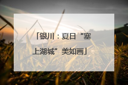 银川：夏日“塞上湖城”美如画