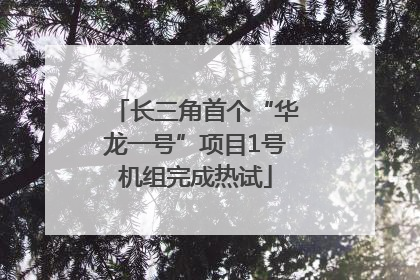 长三角首个“华龙一号”项目1号机组完成热试