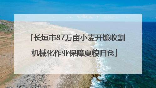 长垣市87万亩小麦开镰收割 机械化作业保障夏粮归仓