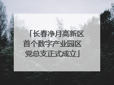 长春净月高新区首个数字产业园区党总支正式成立