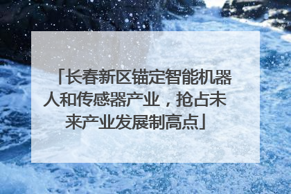 长春新区锚定智能机器人和传感器产业，抢占未来产业发展制高点