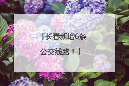长春新增6条公交线路！