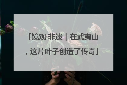 镜观·非遗｜在武夷山，这片叶子创造了传奇