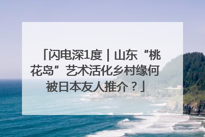闪电深1度｜山东“桃花岛”艺术活化乡村缘何被日本友人推介？