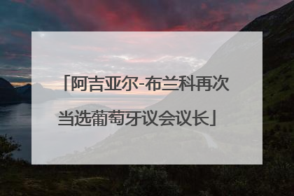 阿吉亚尔-布兰科再次当选葡萄牙议会议长