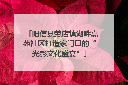 阳信县劳店镇湖畔嘉苑社区打造家门口的“光影文化盛宴”