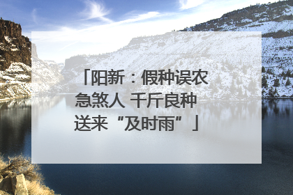 阳新：假种误农急煞人 千斤良种送来“及时雨”