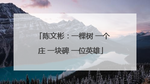 陈文彬：一棵树 一个庄 一块碑 一位英雄