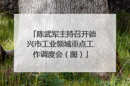 陈武军主持召开德兴市工业领域重点工作调度会（图）