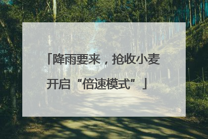 降雨要来，抢收小麦开启“倍速模式”