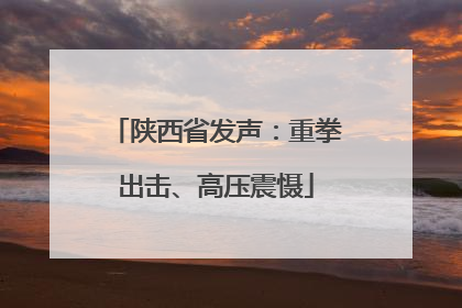 陕西省发声：重拳出击、高压震慑